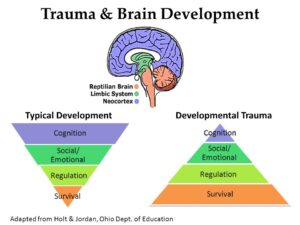 Emotional Trauma & the Brain